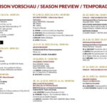 Vienna: Advent, Christmas and New Year's Concerts - The Review from Attendees