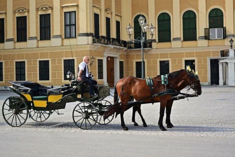 Vienna: Carriage Ride Through Schönbrunn Palace Gardens - Highlights of the Schönbrunn Palace Gardens Carriage Ride