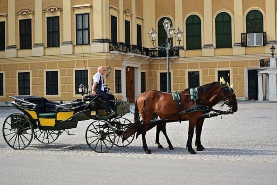 Vienna: Carriage Ride Through Schönbrunn Palace Gardens - Highlights of the Schönbrunn Palace Gardens Carriage Ride