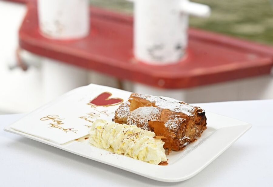 Vienna: Danube River Cruise w/ optional Viennese Specialties - Who Should Consider This Tour?