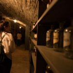 Vienna: Historical Pharmacy Cellar Guided Tour - The Practical Side: Price, Duration, and Accessibility