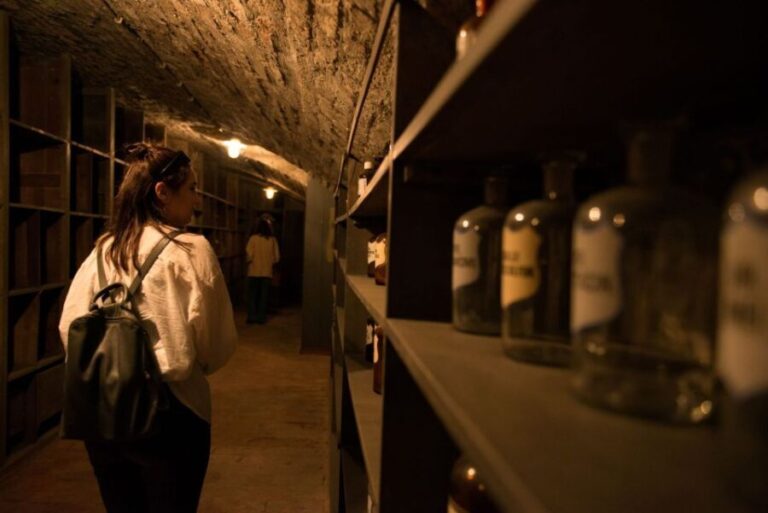 Vienna: Historical Pharmacy Cellar Guided Tour - The Practical Side: Price, Duration, and Accessibility