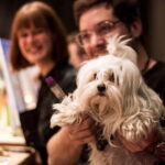 Vienna: Paint and Sip Evening - Who Is This Tour Best For?