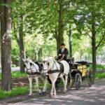 Vienna Porcelain Carriage - A discreet Prater carriage ride for adults - Price and Value