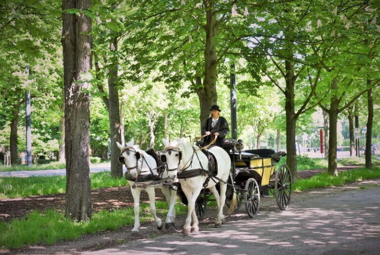Vienna Porcelain Carriage - A discreet Prater carriage ride for adults - Price and Value