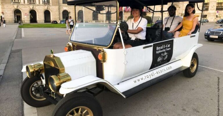 Vienna: Private Electric Car Sightseeing Tour - Who Should Consider This Tour?