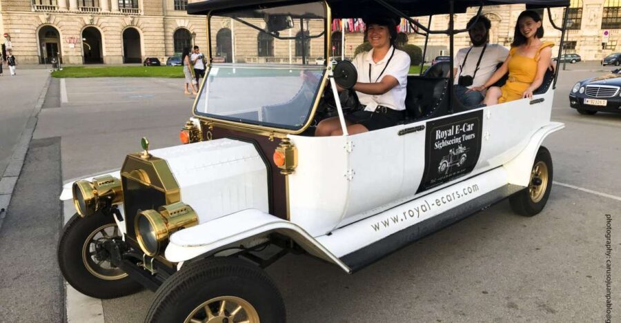 Vienna: Private Electric Car Sightseeing Tour - Who Should Consider This Tour?