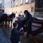 Vienna: Professional Proposal Photographer - What to Expect from Your Vienna Proposal Photoshoot