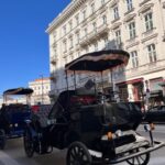 Vienna: Royal E-Carriage Sightseeing Tour incl. Prosecco - The Itinerary: A Breakdown of the 60-Minute Tour