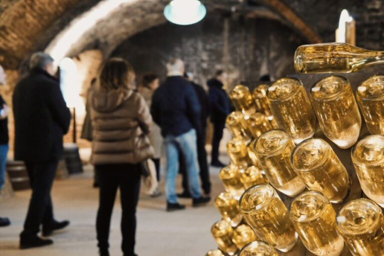 Vienna: Schlumberger Wine Cellar Guided or Self-Guided Tour - Authentic Insights from Visitors