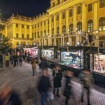 Vienna: Schönbrunn Palace & Christmas Market Walking Tour - A Detailed Look at the Schönbrunn Palace & Christmas Market Tour