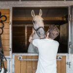 Vienna: Secrets of the Fiaker & Horse-Drawn Carriage Ride - The Value of this Experience