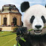 Vienna: Skip-the-line Tickets for Schönbrunn Zoo - Who Will Love This Experience?