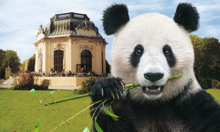 Vienna: Skip-the-line Tickets for Schönbrunn Zoo - Who Will Love This Experience?
