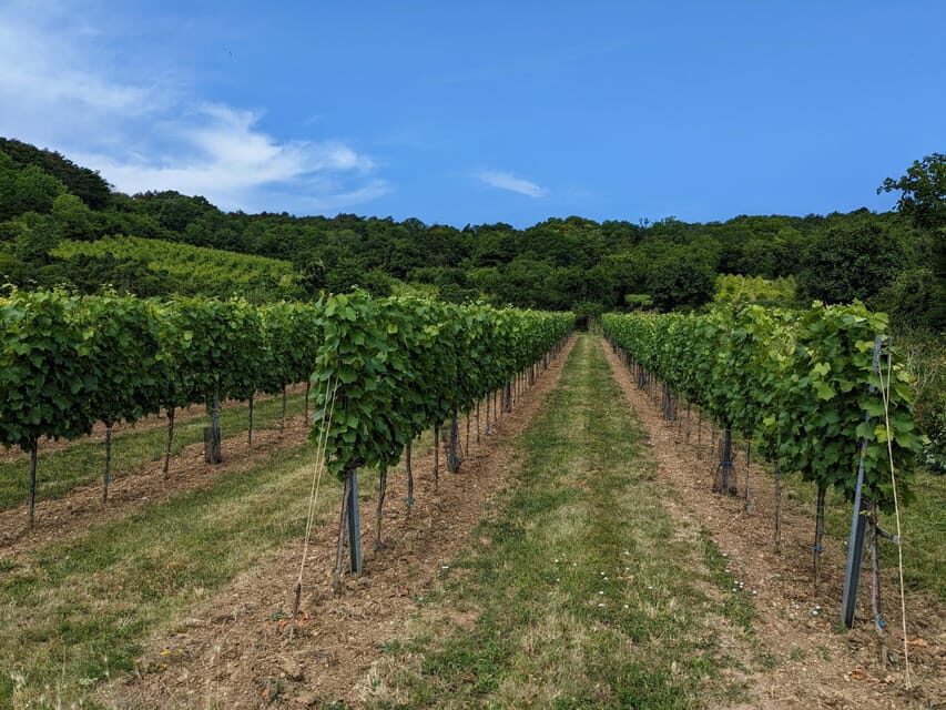 Vienna: Small-Group Wine Tasting Tour - What’s Included and What’s Not