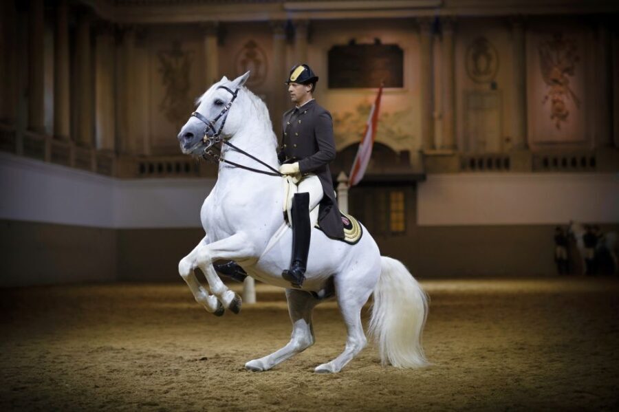 Vienna: Spanish Riding School 45-Minute Performance Show - Who Is This Tour Best For?