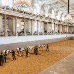 Vienna: Spanish Riding School Training - Practical Details and Tips