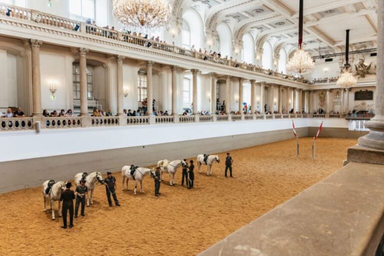Vienna: Spanish Riding School Training - Practical Details and Tips