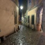 Vienna: Spooky Ghost Tour in English - The Guide and Group Experience