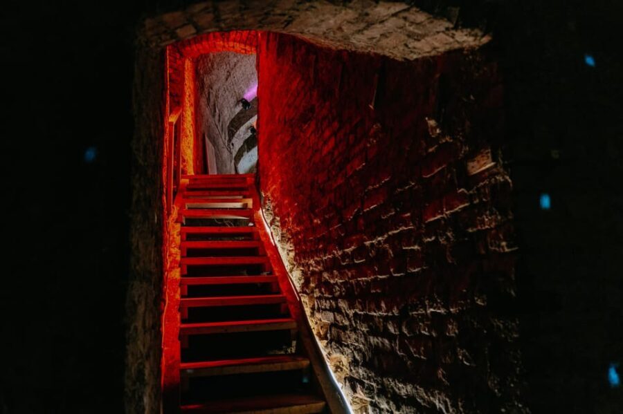 Vienna: Viennese Underworld Guided Walking Tour - Who Will Love This Tour?