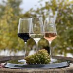 Vienna: Wine Tasting at Schönbrunn Palace - Who Should Consider This Tour?