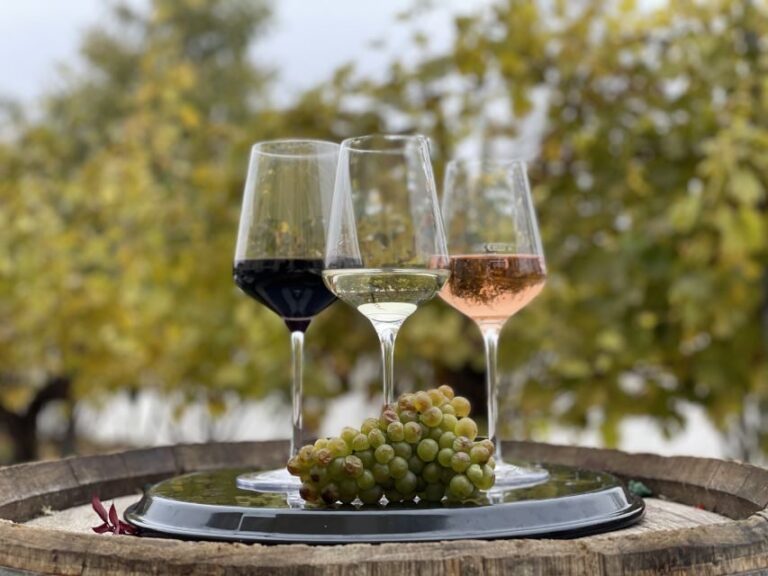 Vienna: Wine Tasting at Schönbrunn Palace - Who Should Consider This Tour?