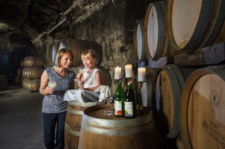 Vienna: Wine Tasting E-Bike Tour - An In-Depth Look at the Vienna Wine Tasting E-Bike Tour