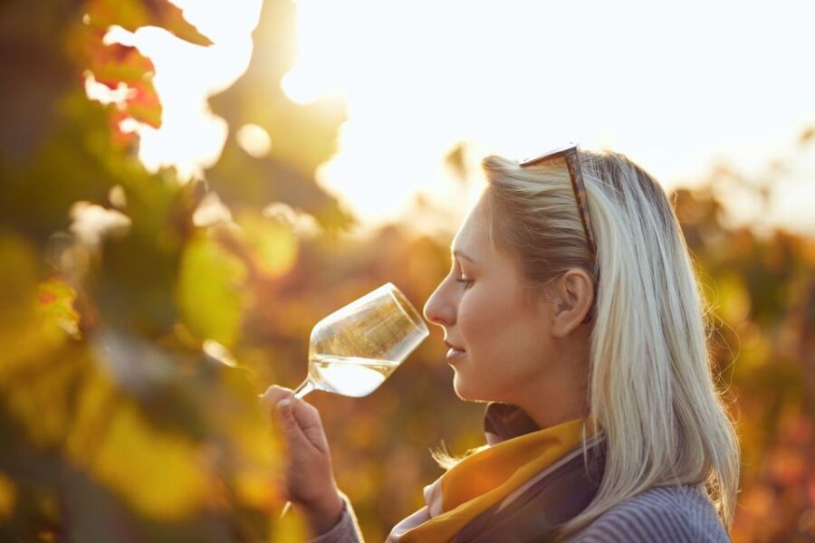 Vienna: Winery and Wine Tasting Tour with a Wine Expert - Who Will Love This Tour?