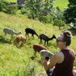 Vik i Sogn: Authentic Farm Visit - What to Expect During the Tour