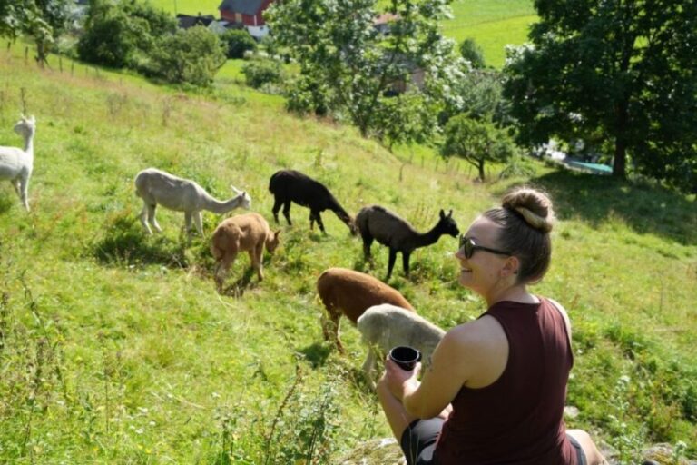 Vik i Sogn: Authentic Farm Visit - What to Expect During the Tour