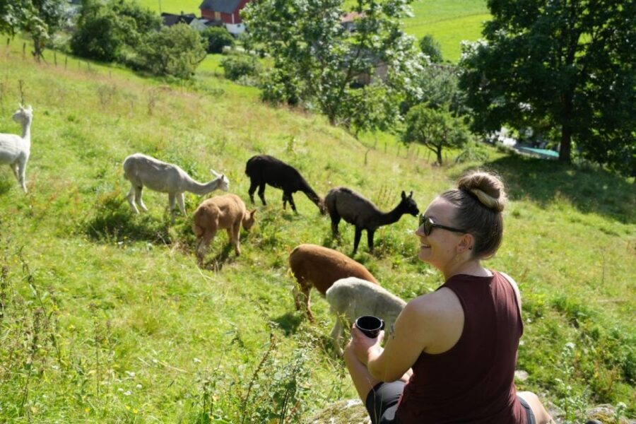 Vik i Sogn: Authentic Farm Visit - What to Expect During the Tour