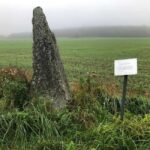 Viking History Half-Day Tour from Stockholm - Final Thoughts