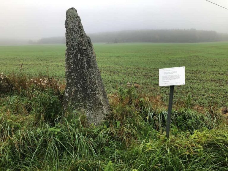 Viking History Half-Day Tour from Stockholm - Final Thoughts