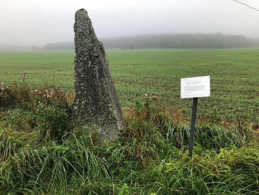 Viking History Half-Day Tour from Stockholm - Final Thoughts