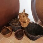 Vila de Frades: Talha Wine Tour with Tastings - Who Will Love This Tour?