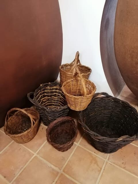 Vila de Frades: Talha Wine Tour with Tastings - Who Will Love This Tour?