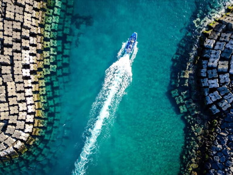 Vila Franca do Campo: Bird Watching & Snorkeling - Why This Tour Works