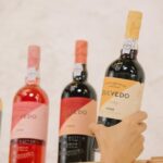 Vila Nova de Gaia: Port Wine Tasting with Cheese Pairing - The Itinerary and What You Can Expect