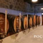 Vila Nova de Gaia: Winery Tour with 2 DOC Douro & 2 Ports - The Overall Experience: What Makes It Valuable?