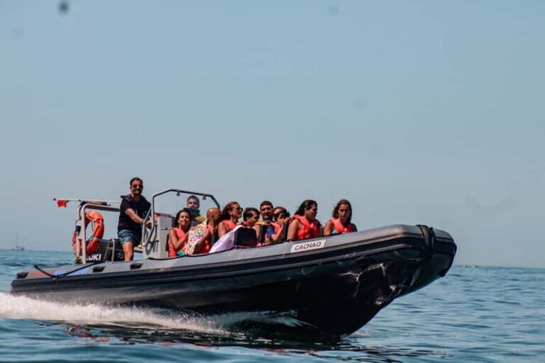 Vilamoura: Benagil Cave Small Group - Exploring the Algarve Coast in Comfort and Style