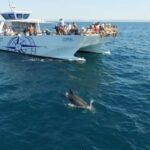 Vilamoura: Boat Tour Dolphin Quest - Authentic Feedback from Travelers