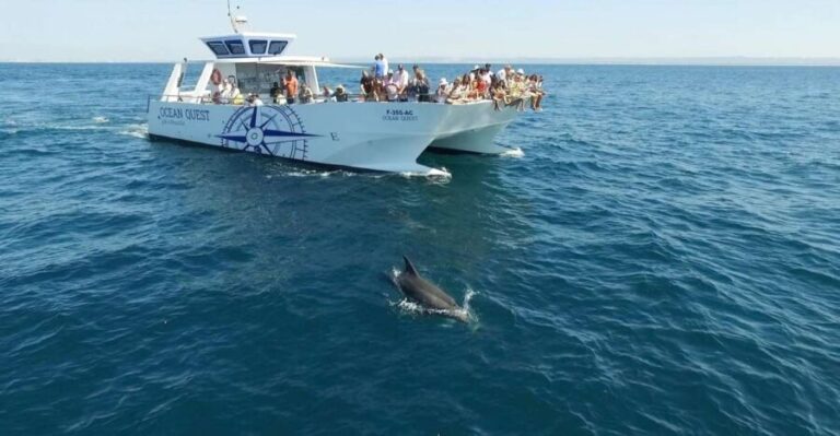 Vilamoura: Boat Tour Dolphin Quest - Authentic Feedback from Travelers