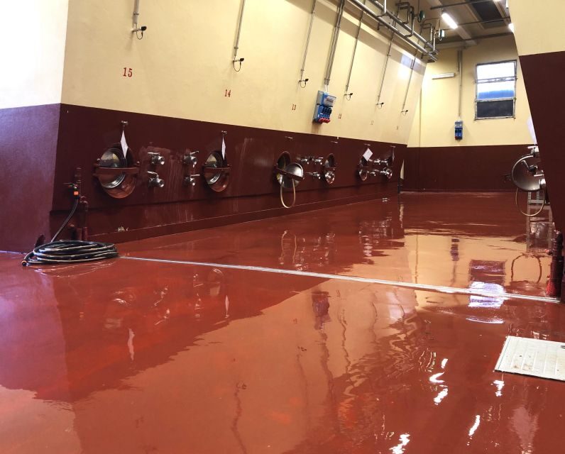 Villa Bogdano 1880: Guided Winery Tour and Tasting - Final Thoughts: Is It Worth It?