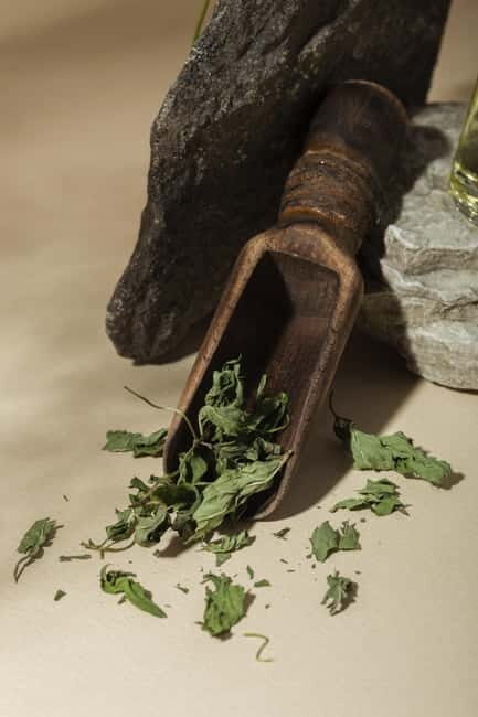 Villacidro - The Cogas ointment: the secrets of herbs - Final Thoughts