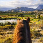 Villajoyosa: Horseback Riding in the Mountains - A Detailed Look at the Horseback Riding Experience