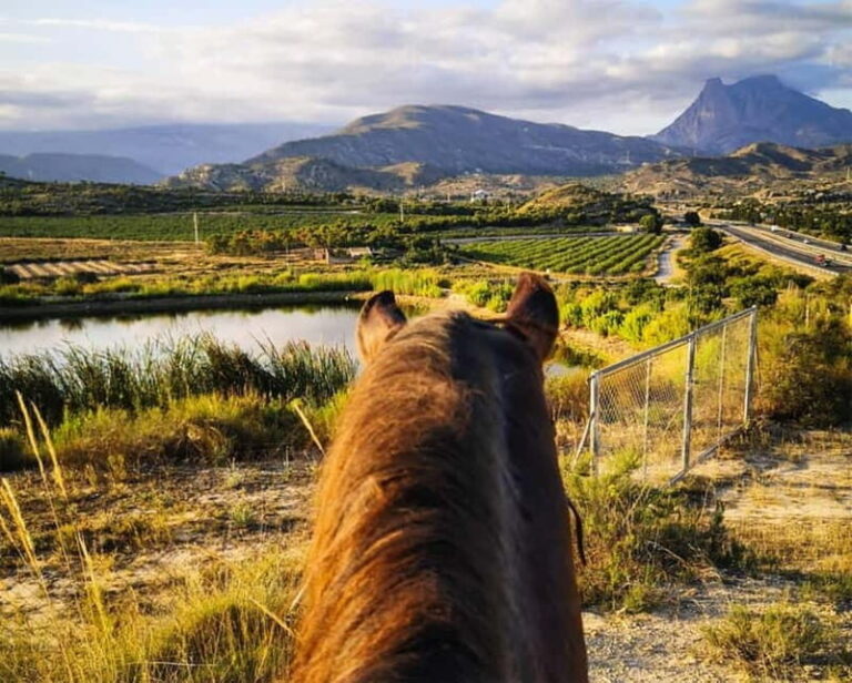 Villajoyosa: Horseback Riding in the Mountains - A Detailed Look at the Horseback Riding Experience