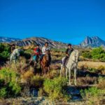 Villajoyosa Horseback Riding in the Mountains with sea views - Who Would Love This Experience?