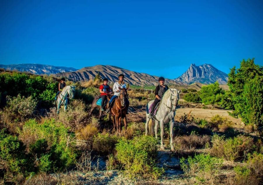 Villajoyosa Horseback Riding in the Mountains with sea views - Who Would Love This Experience?