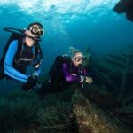 Villefranche-sur-Mer: Experience an introduction to scuba diving - The Value of the Experience