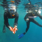 Villefranche-sur-Mer: guided snorkeling to discover the aquatic world - Authentic Insights from Reviewers